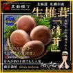 札幌清田産　生椎茸　２Ｌサイズ４玉×２　【産地直送】　（椎茸・シイタケ・しいたけ）　