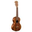 Martin C1K Uke (コン...