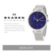 『SKAGEN-スカーゲン-』Anita Steel Mesh Watch〔SKW2391〕[レディース 腕時計 ビジネス 薄型 軽量]