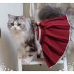猫コスチューム3色 袴 スカート 和服 和ロリ 着物 かわいい リボン ロリータ Lolita 猫ちゃん ネコ ペット用 和風 無地 大きいサイズ  おでかけ イベント
