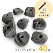 RMCG クライミング ホールド 20個セット ボルダリング ボルトオ ン