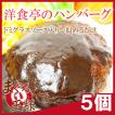 ハンバーグ 洋食亭のハンバーグ (ドミグラスソース)×5個
