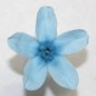 ブルースター　Sサイズ　20輪　アイスブルー　花径 約2〜3.5cm　プリザーブドフラワー花材