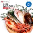 石川県 旬の魚 お刺身用 鮮魚詰合せ お魚BOX 4〜5種 ( 下処理無料 冷蔵便 ) ※お届け日指定不可 贈答 ギフト 産地直送 お取り寄せ 送料無料