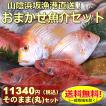 （送料無料）山陰浜坂港直送「朝とれおまかせ鮮魚・魚介１１３４０円（税込）セット」（丸のまま・下処理なし）（海鮮 ギフト 魚介詰め合わせ、鮮魚ボックス）