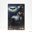 中古即納』{FIG} MSIオリジナル 兜模型 長野剛コラボレーションMSI