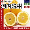 愛媛産 晩柑河内晩柑...