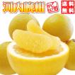 送料無料10kg⇒2,080...