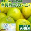 愛媛産 中島無農薬有...