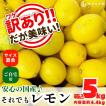 レモン 国産 訳あり 箱込 5kg ( 内容量 4.4kg )サイズミックス 和歌山県産 産地直送 【みかんの会】