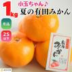 【先行予約】 ハウスみかん 小玉ちゃん 温室栽培 夏の有田みかん 1kg 秀品 2S サイズ以下 和歌山県産 産地直送 2025年5月中旬より出荷