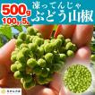 冷凍山椒 凍ってんじゃ 有田のぶどう山椒 500g(100g×5袋) 和歌山県産 和のスパイス 痺れる辛さ クール便対応 【みかんの会】