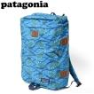 パタゴニア patagonia...