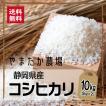 コシヒカリ 米 10kg 静岡県産 早刈り 甘い おいしい ふっくら もっちり 高品質