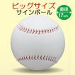 ナイキ　抽選品　サイン　ボール　野球 直筆サイングッズ,MLB,直筆サインボール ｜カードファナティック