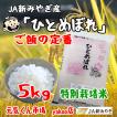 令和5年産　通販　ひとめぼれ　宮城県産　５Kg　特別栽培米（減農薬・減化学肥料）精米　　送料無料（一部地域を除く）