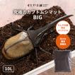 高カロリー 廃菌床発酵カブトムシ マット「BIG」10リットル 1袋 昆虫