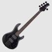Sterling by MUSIC MAN STINGRAY RAY35HH STEALTH BLACK　（ギグケース付き）