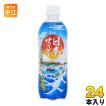 チェリオ 日本のサイダー 500ml ペットボトル 24本入 : 専門店中江