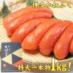 かねふく明太子(明太...