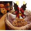 クリスマスケーキ 2019 予約 アレルギー 取り寄せ ガトーショコラ マクロビ 15センチ　アレルギー対応　卵・乳製品不使用