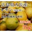 【期間限定20%増量...