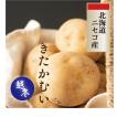 じゃがいも　きたかむい　越冬　北海道ニセコ産 　10kg　ニセコ若山農産　全国送料込　Sサイズ