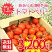 【送料無料】【規格外...