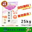 米 お米 3年産 ブランド米 25kg 小分け 白米 安い 美味い 福島県産 送料無料 天女の泉5kg×5本