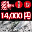 2023年入荷次第発送開始！　壱岐対馬産 天然寒ブリ4kg以上