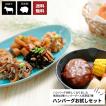 ハンバーグお試しセッ...