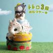 おむつケーキ オムツ...