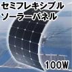 【新入荷!】セミフレ...