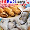 広島県産　牡蠣（かき）