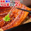 ギフト うなぎ 蒲焼き 国産 鰻 うなぎ蒲焼き 九州産 超特大 2尾(1尾約230〜250g前後) 送料無料