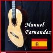 クラシックギター総単板Manuel Fernandez MF-49S　