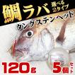 タイラバ用 タングス...