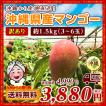 訳あり セール 沖縄で...