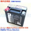 ハーレー純正　AGM バッテリー VRSC　V-ROD ビューエル　Ｖ-ロッド ハーレー純正 AGM バッテリー VRSC V-ROD ビューエル V-ロッド