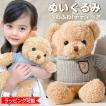 ぬいぐるみ くま 子供...