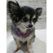 犬猫真珠ネックレス襟ラインストーンハートチャームペンダントペット犬ジュエリー(濃いピンク)