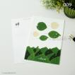 009 海と魚　桂（カツラ） 植物ポストカード 【日本郵便クリックポスト対応：可/1通40枚まで】