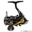 ダイワ レガリス LT10...