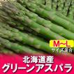 「北海道 グリーンア...