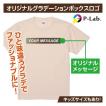 Tシャツ 作成 オリジナル ボックスロゴ 自作 お揃い 父の日 グラデーション 1枚からOK プレゼント 5色展開 綿100％ 5.6oz