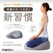 プロイデア アイランドクッション