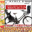 限定カラー 台数限定 ...