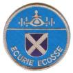 ECURIE ECOSSE エキュリエ　エコッセ　レーシングチーム　イギリス　車(タイヤ・オイル・その他）　のワッペン　アイロン