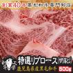 ロース 肉 ホルモン 鹿児島県産 黒毛和牛 特選 リブロース 切り落とし 500ｇ 訳あり カット厚切 ブロック肉 ギフト 送料無料【切り落とし500】