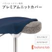 バランスラボ バランスチェア バランスチェアー バランスイージー